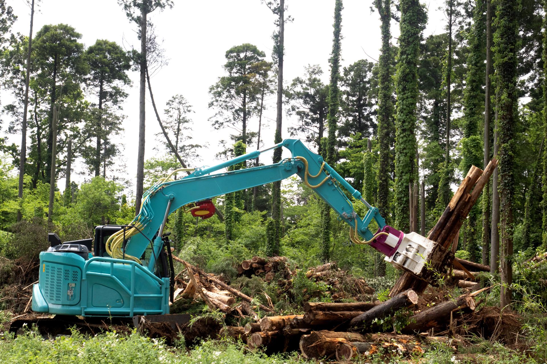 自然と人が共に育つ林業を目指して