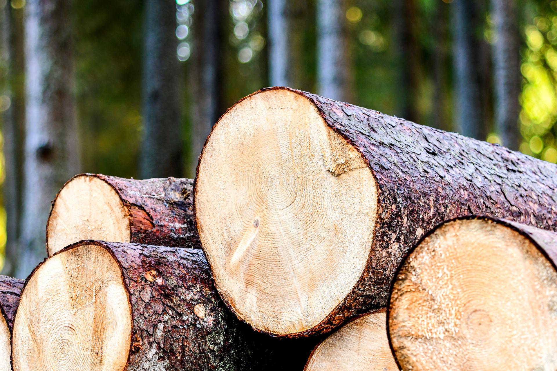 未来に残すための責任と挑戦