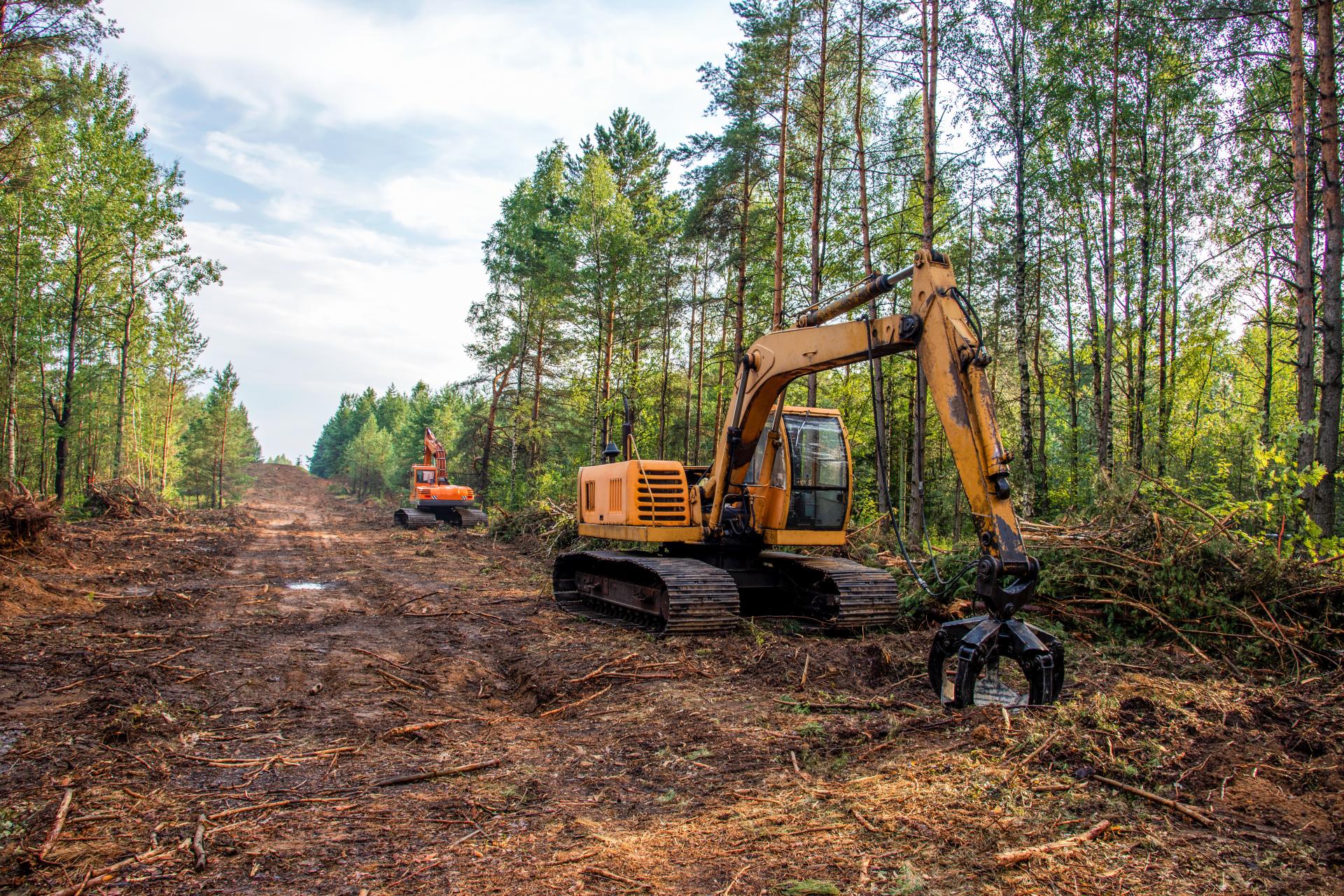 山の調査と計画づくり