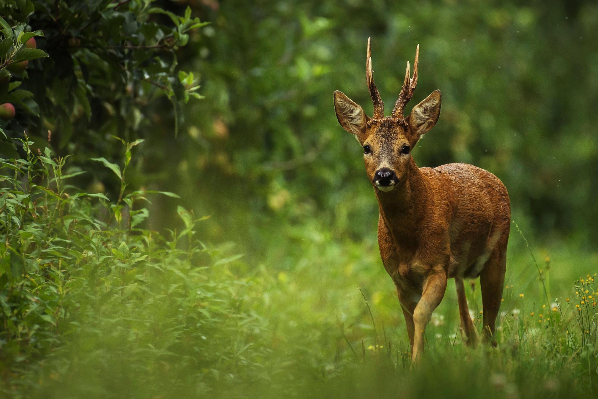 イベントサポート
