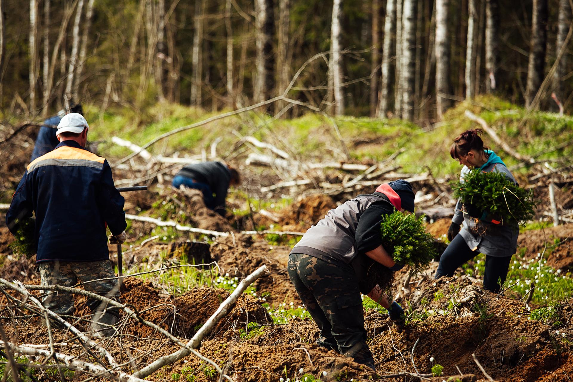 人杜守について