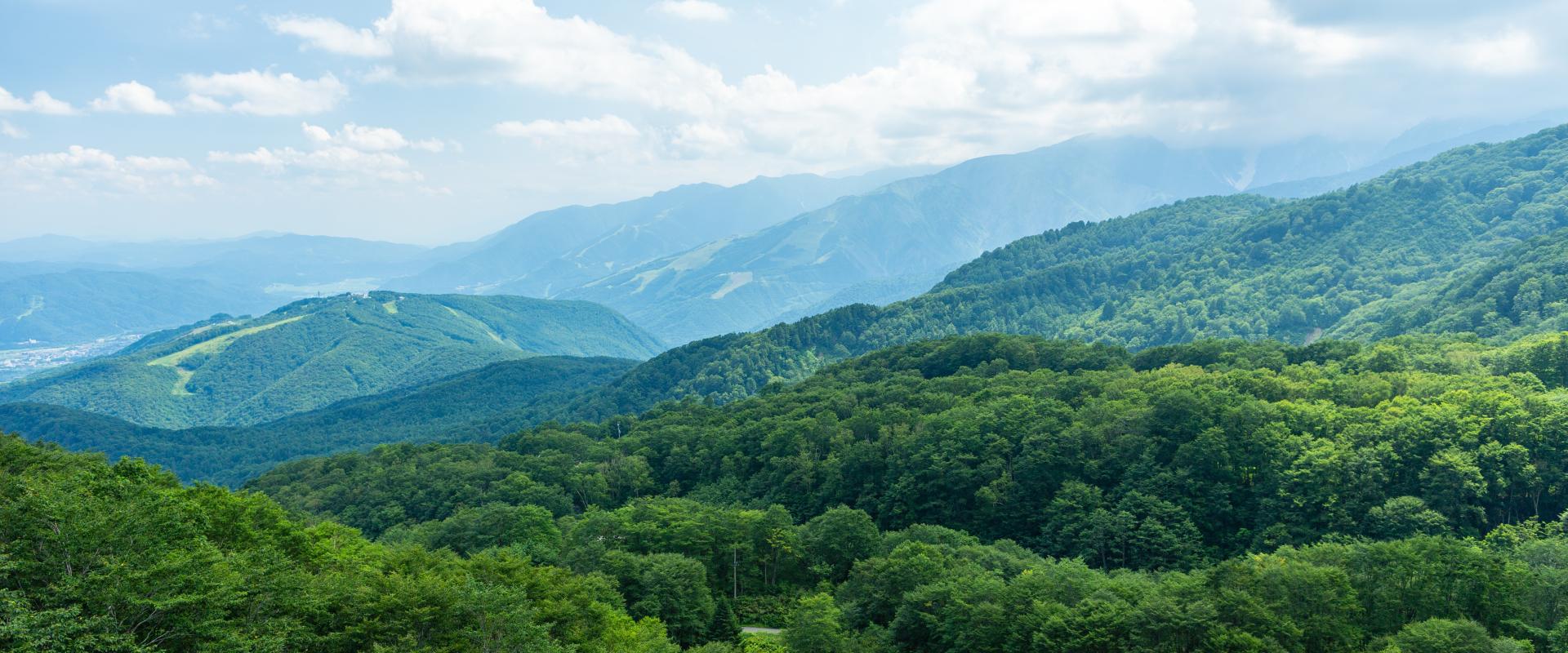 サブバナー画像