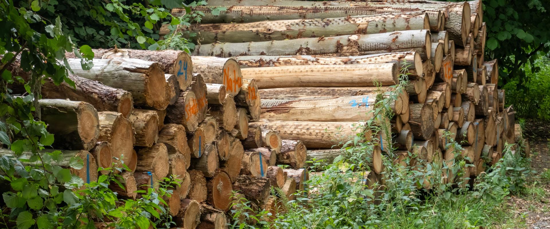 サブバナー背景画像