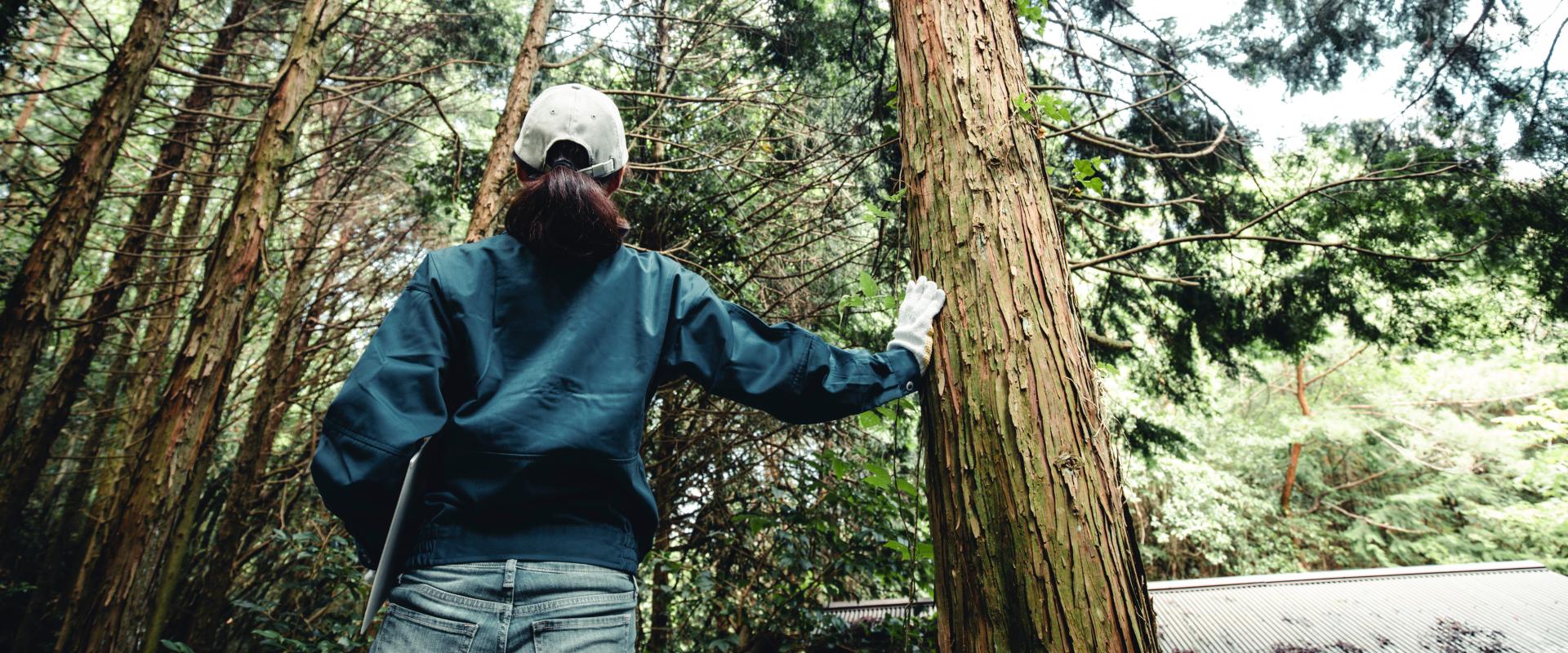 サブバナー背景画像
