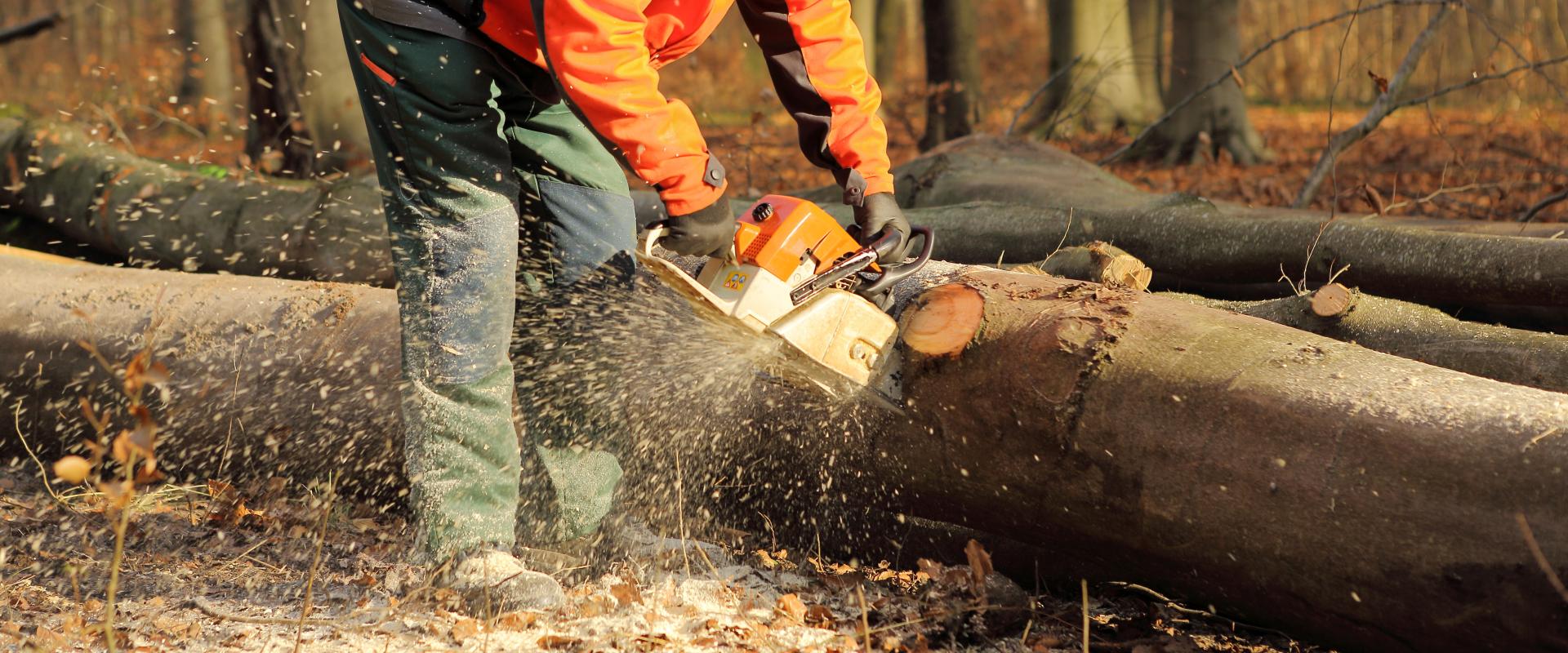 サブバナー背景画像