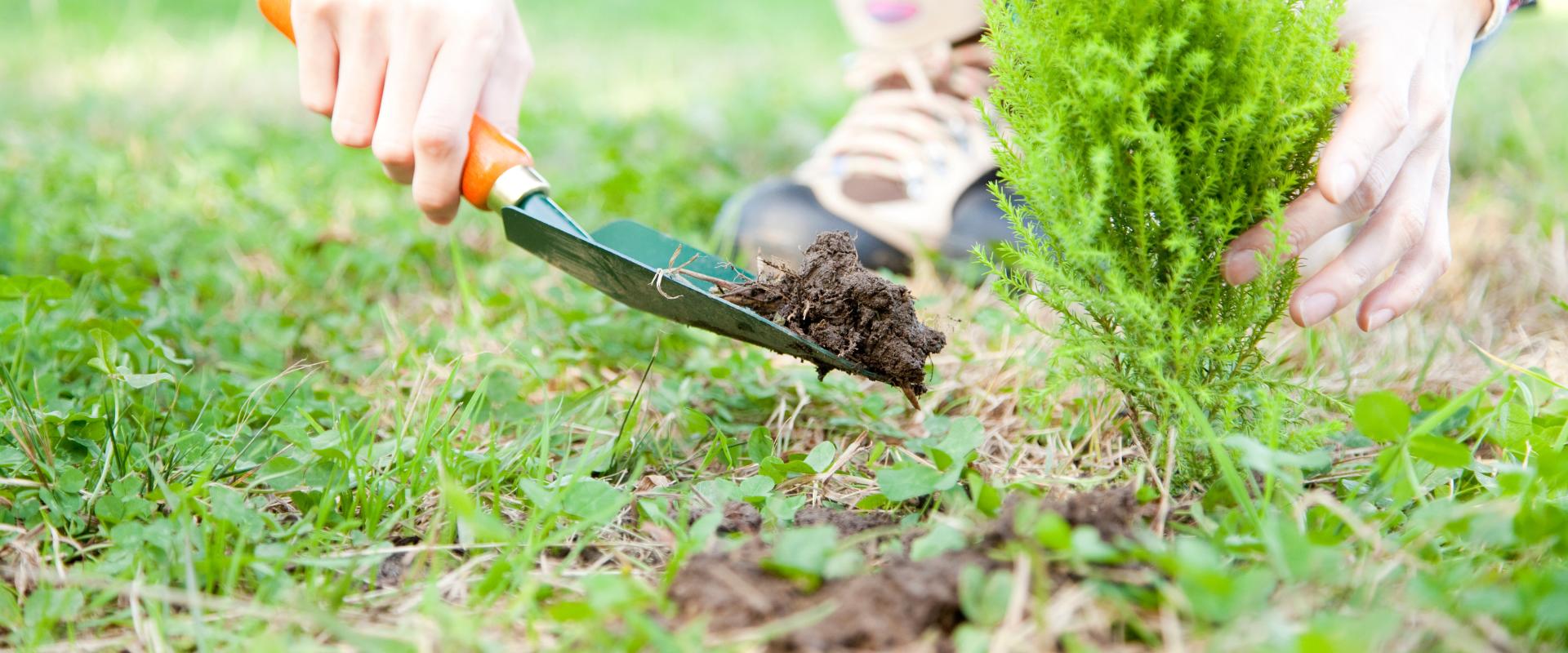 サブバナー背景画像